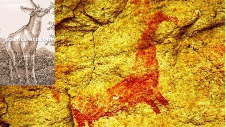 Ambadevi rock shelters may be older than Bhimbetka