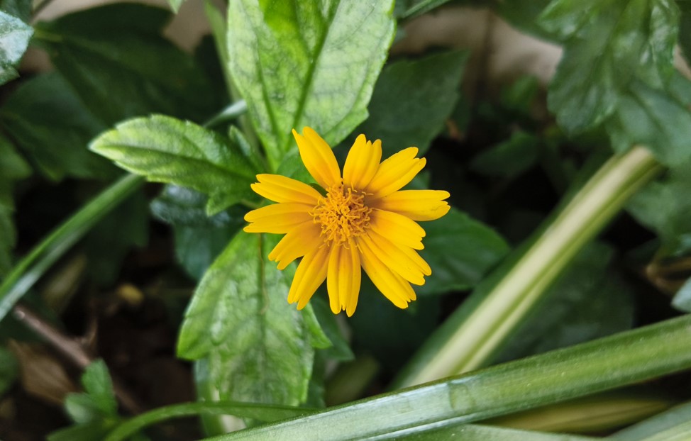 iQOO Z10x's camera sample.