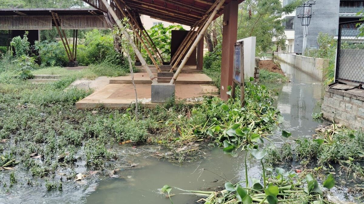 Bengaluru: NGT bends rule to keep sewage out of Yelahanka’s fragile lake reserve 