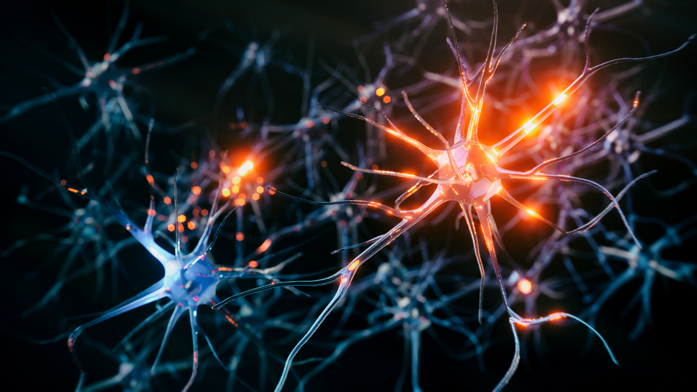 How we discovered specific brain cells that enable intelligent behaviour