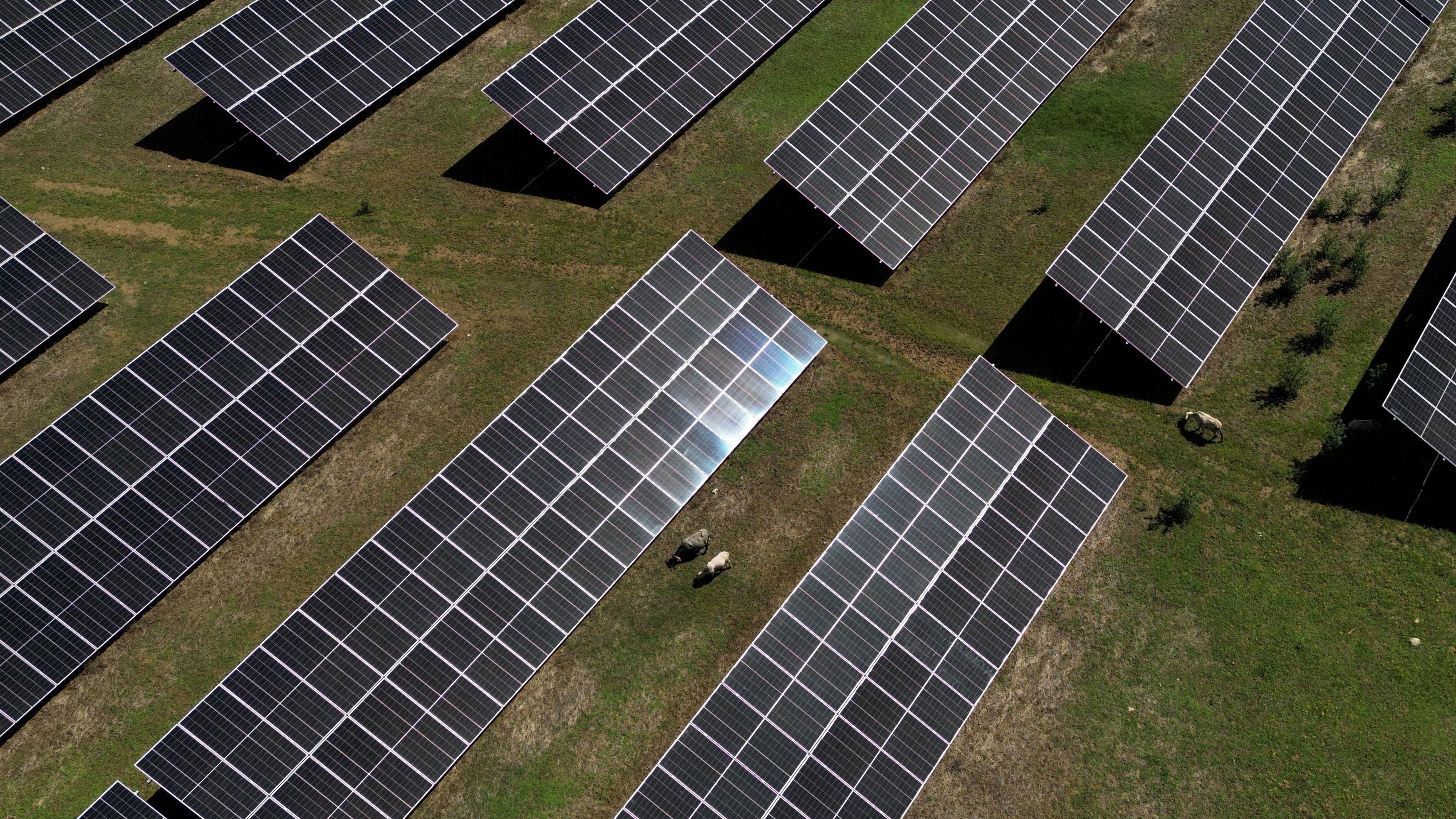 Karnataka, GAIL ink MoU for Rs 5K-cr 1 GW renewable energy initiative
