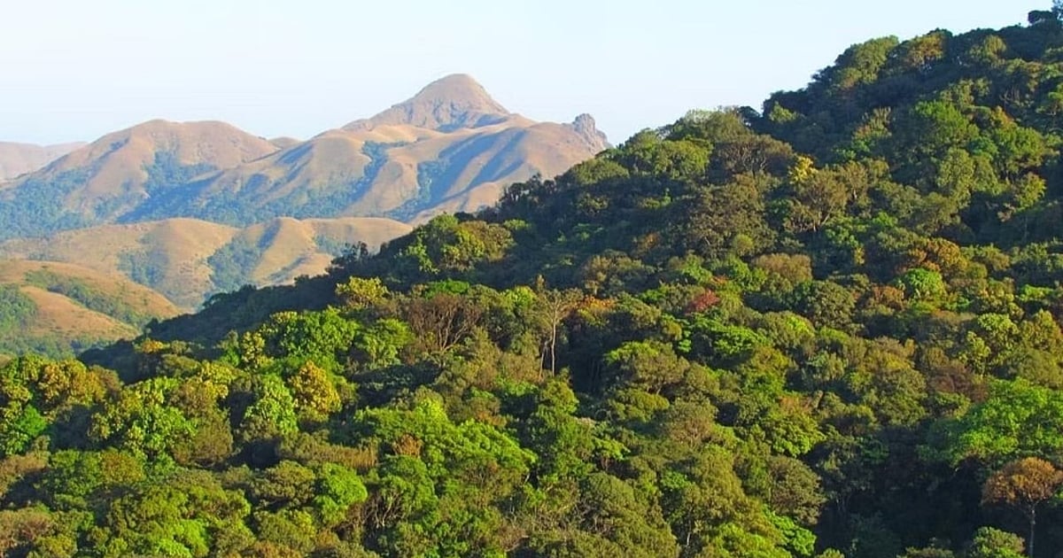 Karnataka to Revise Deemed Forests: Committees Get 6 Months, Says Minister Eshwar Khandre