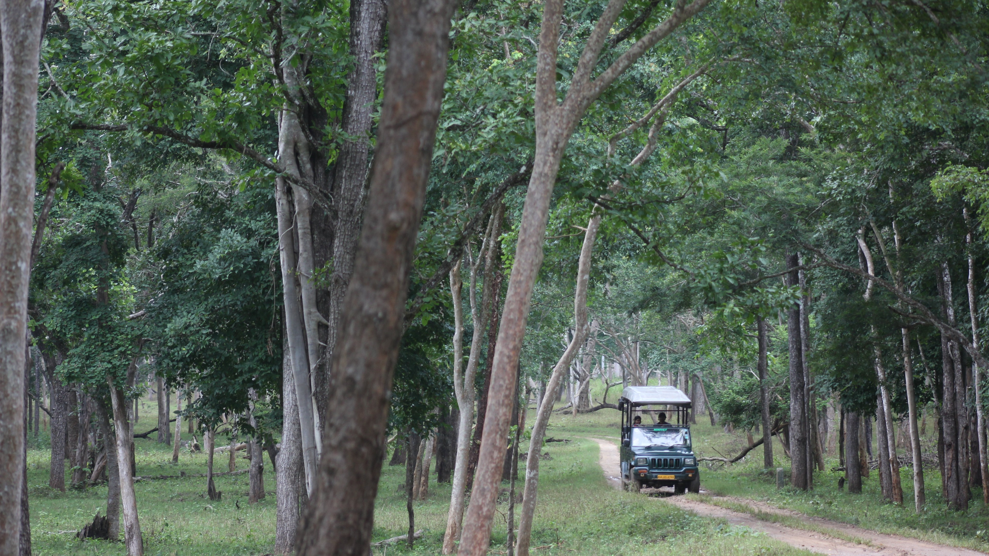 Among jungle resorts, Kabini River Lodge ensures steady cash flow