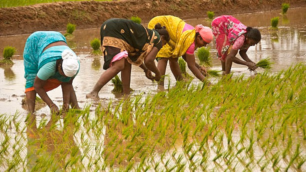 Why agriculture sector is missing from India’s FTAs