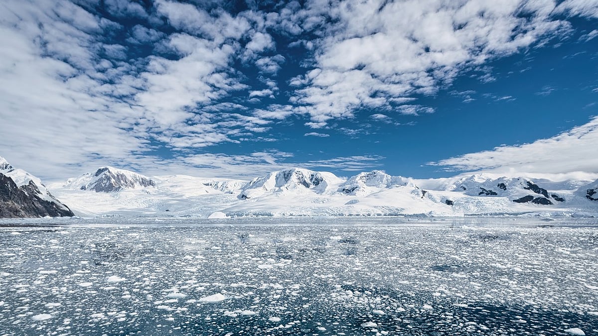 More and more tourists are flocking to Antarctica. Let’s stop it from ...