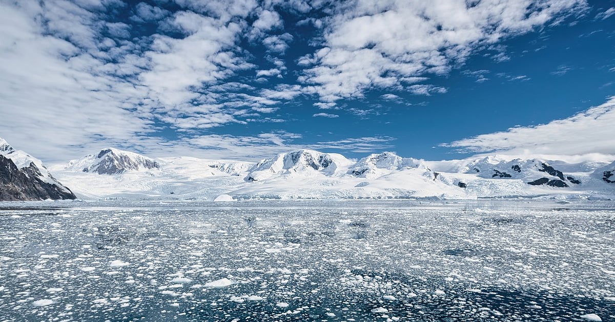 More and more tourists are flocking to Antarctica. Let’s stop it from ...