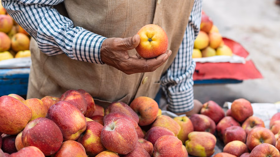 Fruit traders in Delhi to halt apple imports from Turkey