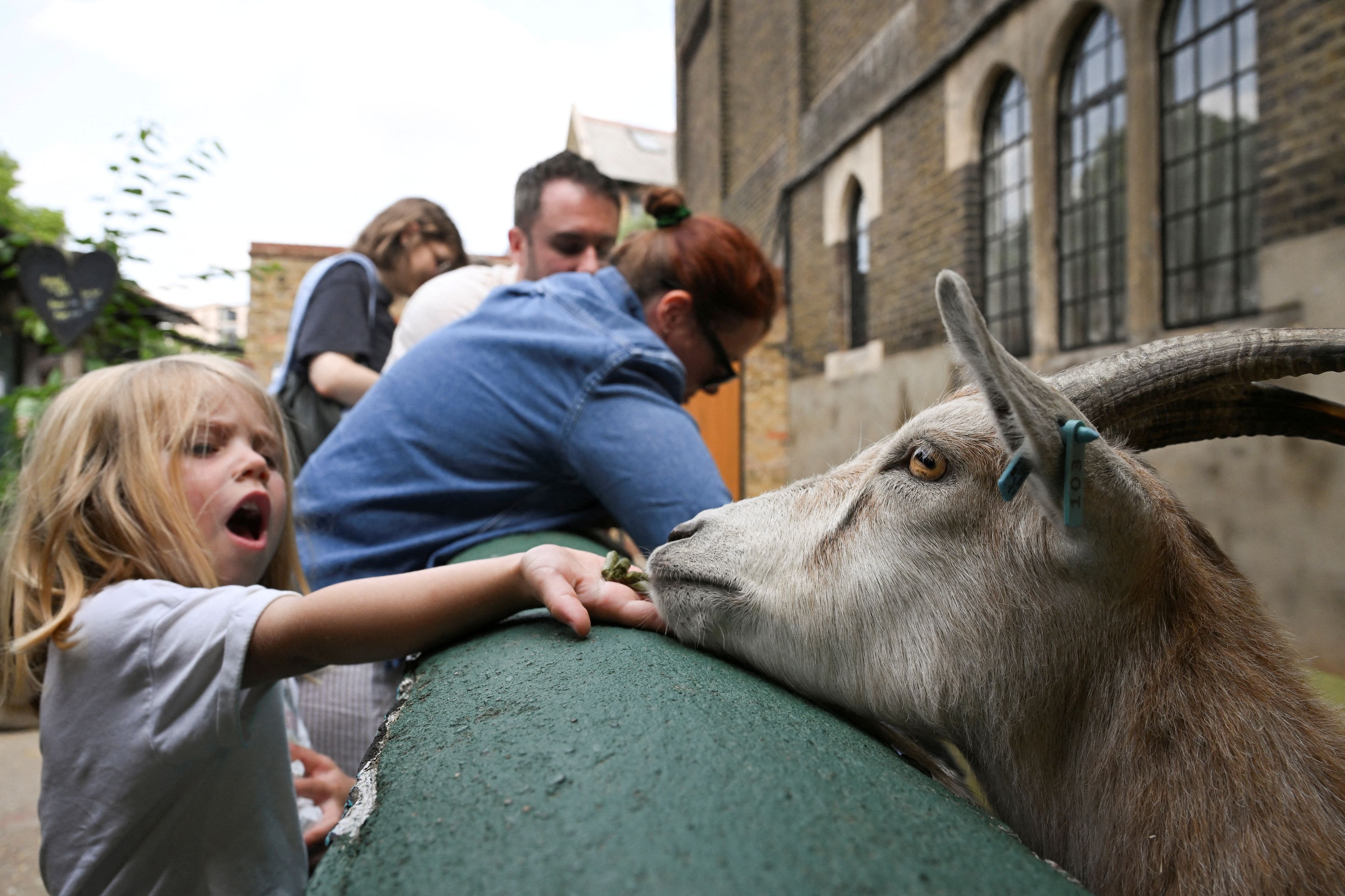 Spring Fair at Vauxhall City Farm in London