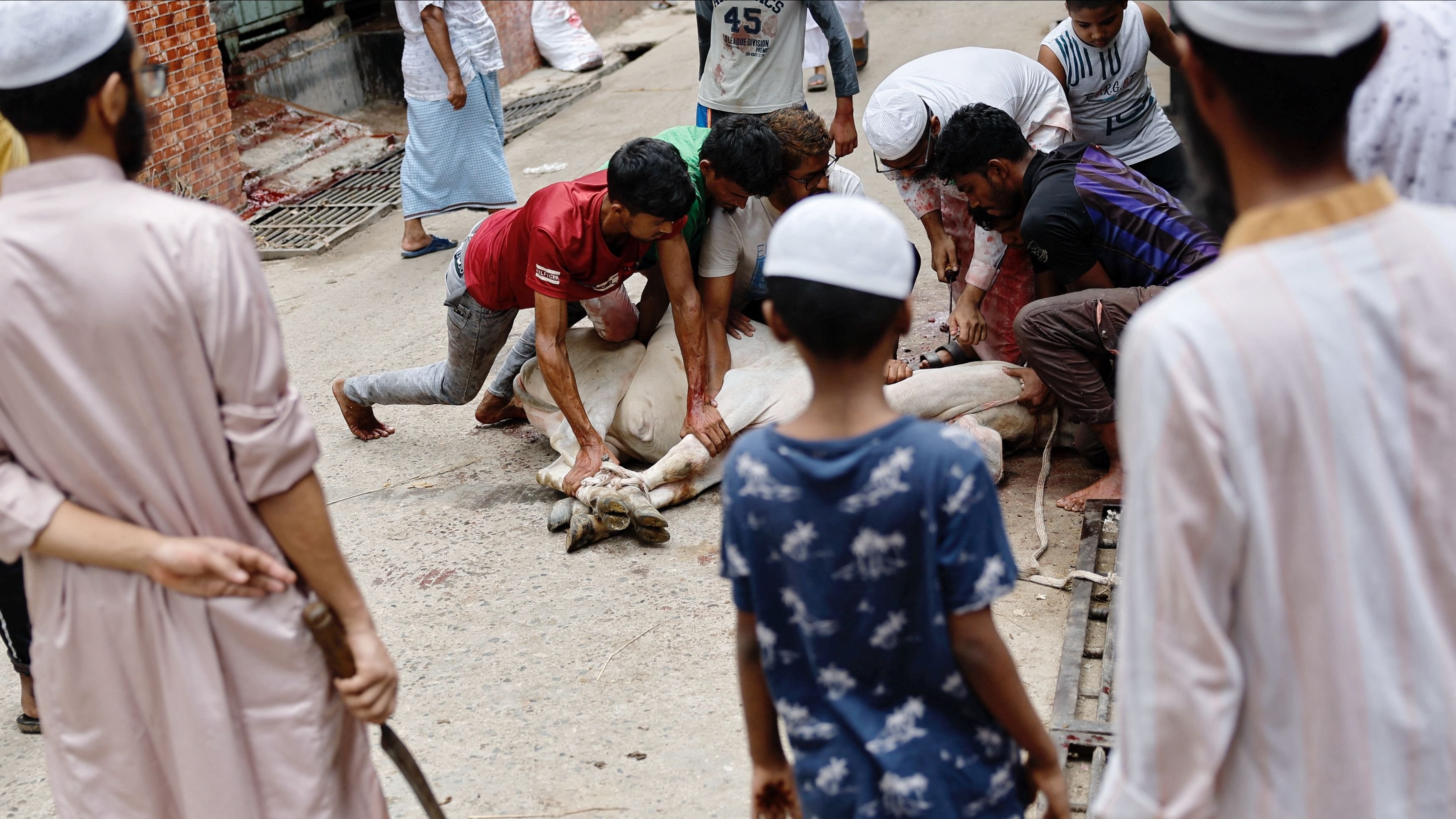 SC refuses to urgently hear plea against order allowing animal slaughter for Eid-ul-Azha at 'dargah'