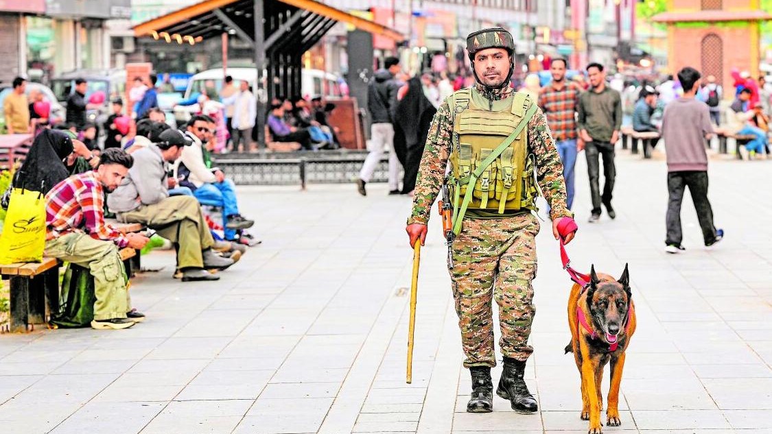 The exodus: Why Kashmir’s brightest are quietly leaving