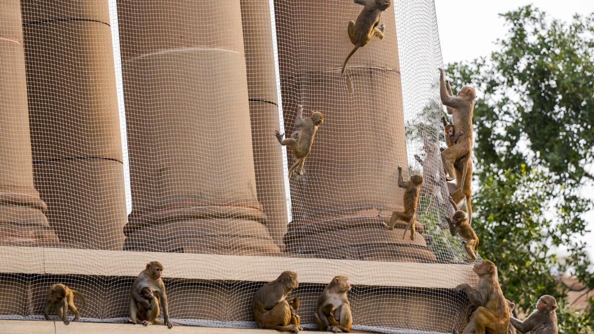 News in Pics | June 7, 2025: Best photos from around the world