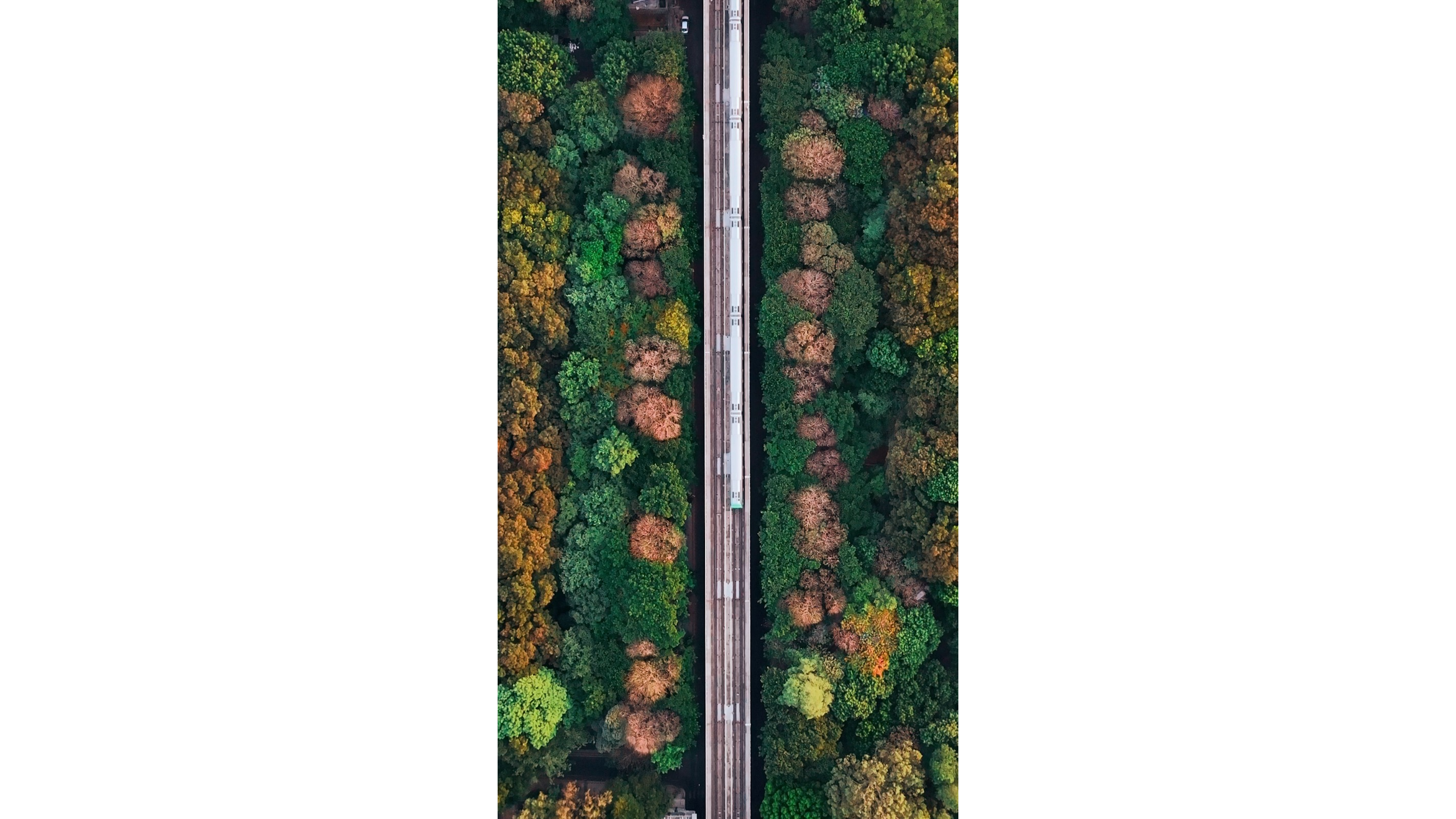 Drone photography is soaring high in Bengaluru 