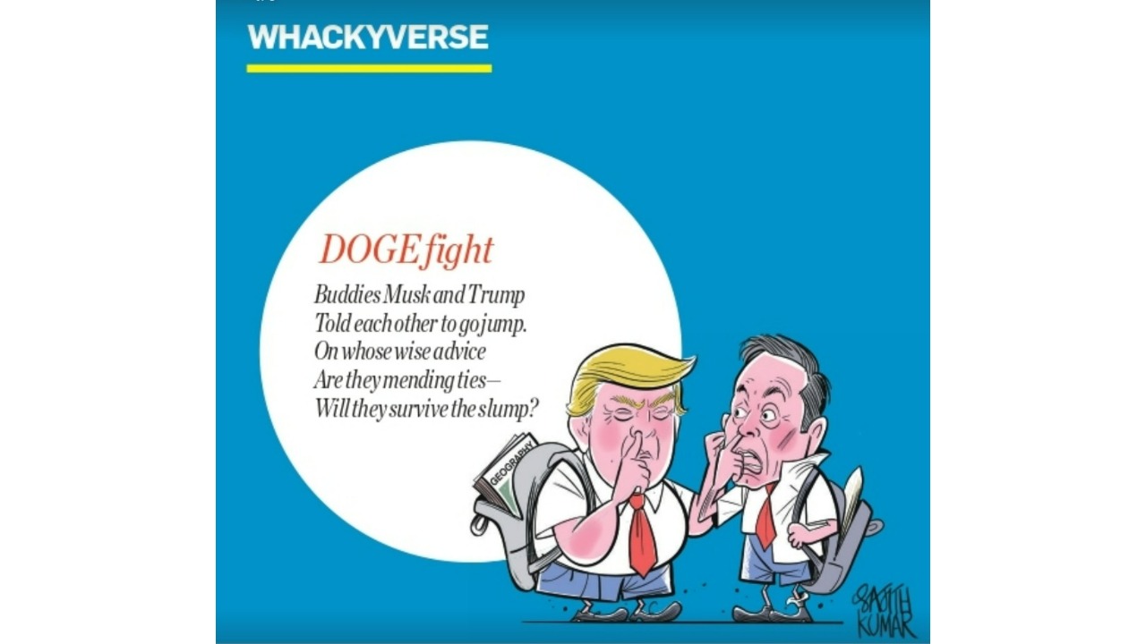 Whackyverse | DOGE fight