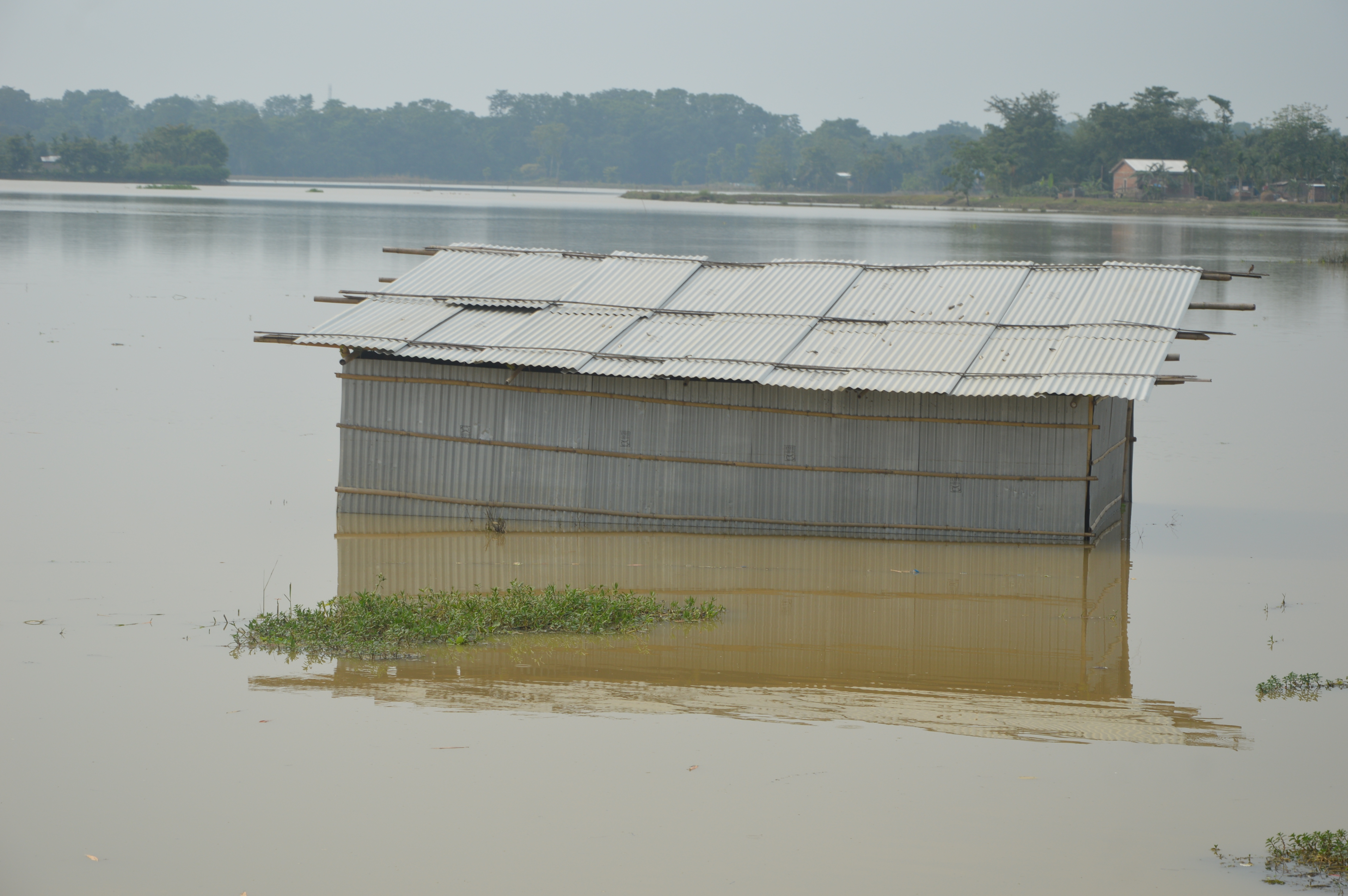 Flood in Nagaon district in central Assam in June, 2025. 