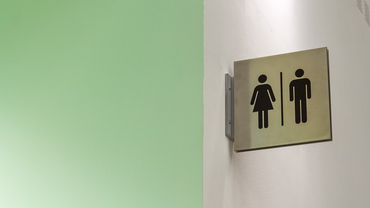 Toilet clinic: Bihar village's women-led initiative restores sanitation facility, dignity