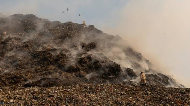 Remains found in Canadian landfill belong to Indian-origin woman, confirms police
