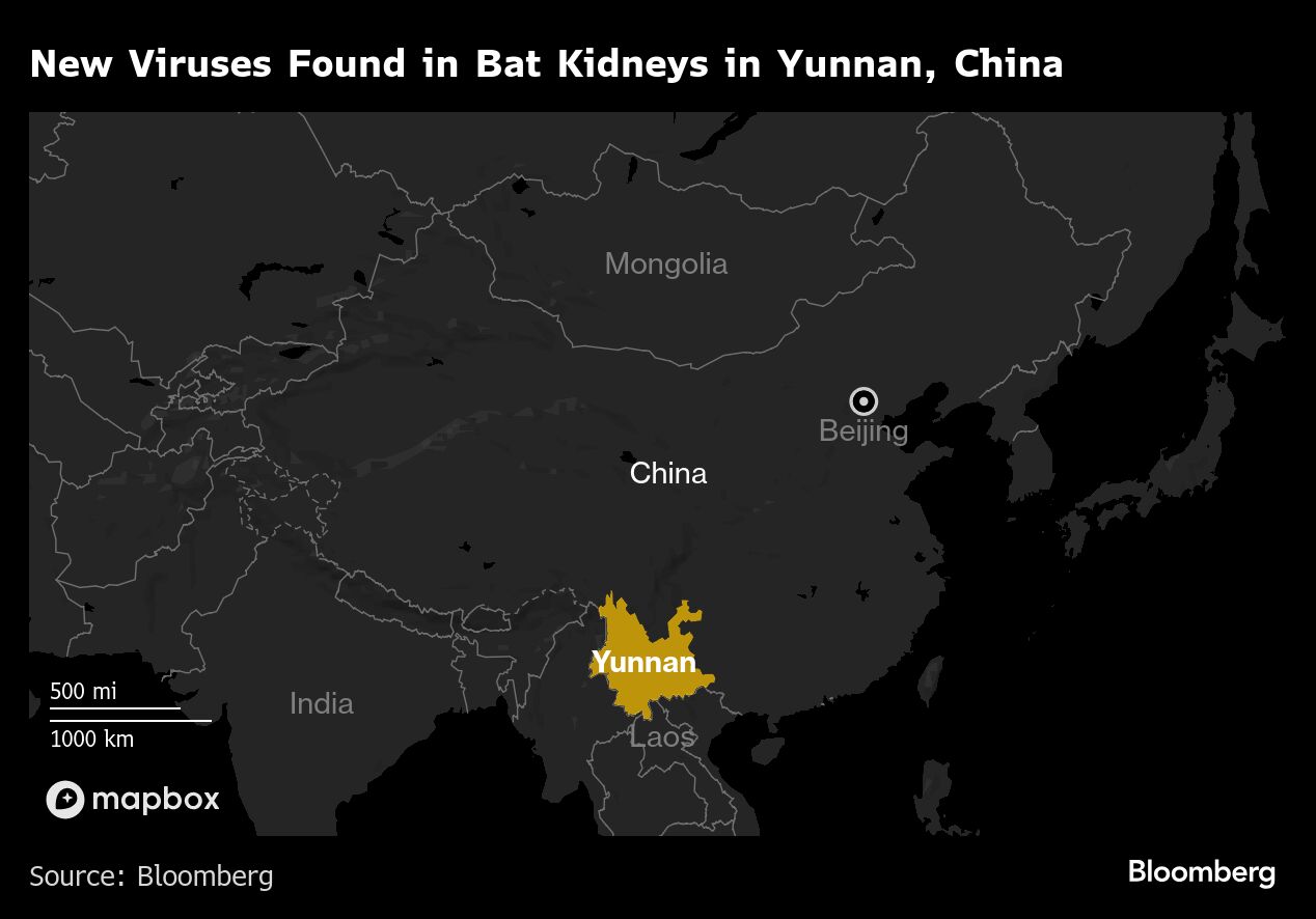 Credit: Bloomberg
