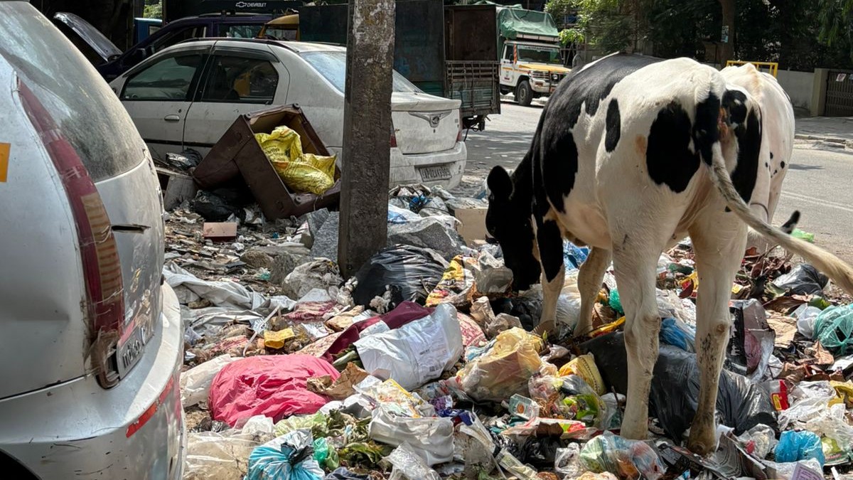 Bengaluru: Hosakerehalli residents, commuters mad over piling garbage    