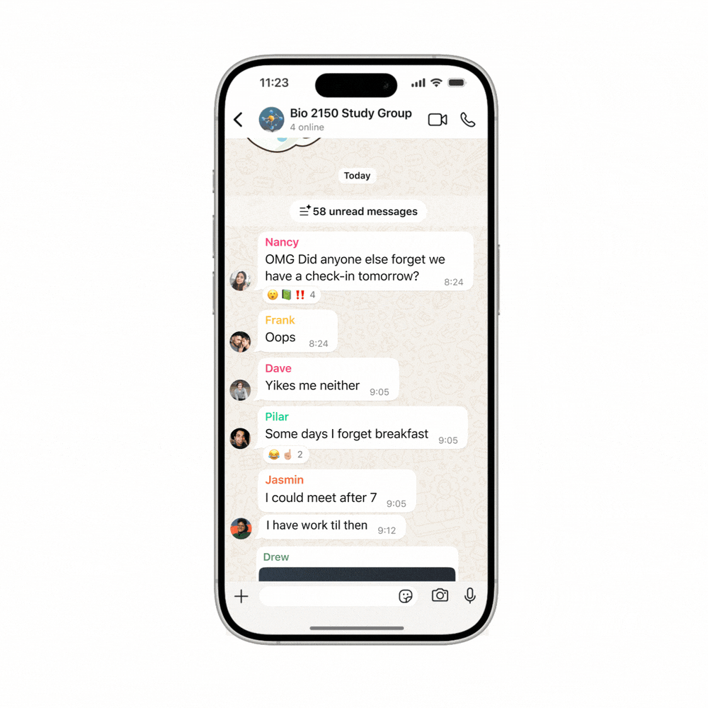 WhatsApp Messages Summaries feature.