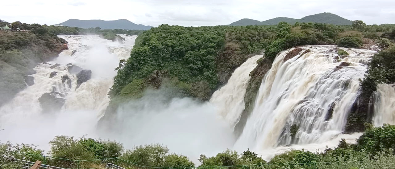 The famed Gaganachukki Falls near Shivanasamudra in Mandya district comes alive following heavy discharges from KRS and Kabini reservoirs on Friday.