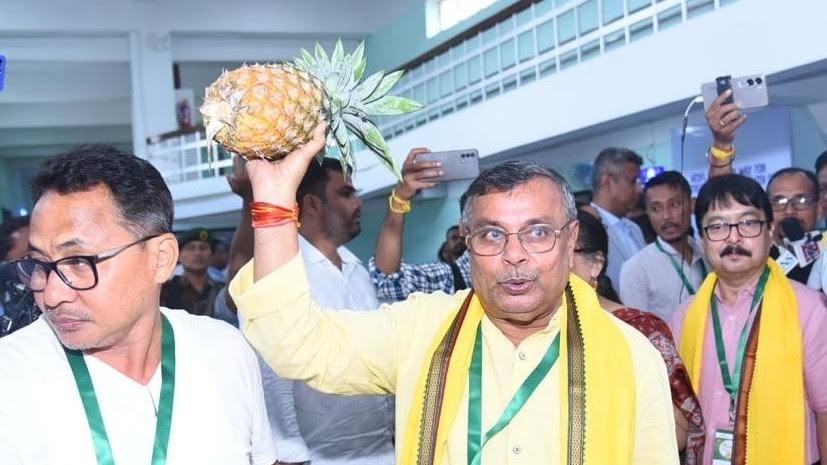 Tripura to promote GI-tagged Queen pineapples in global markets 