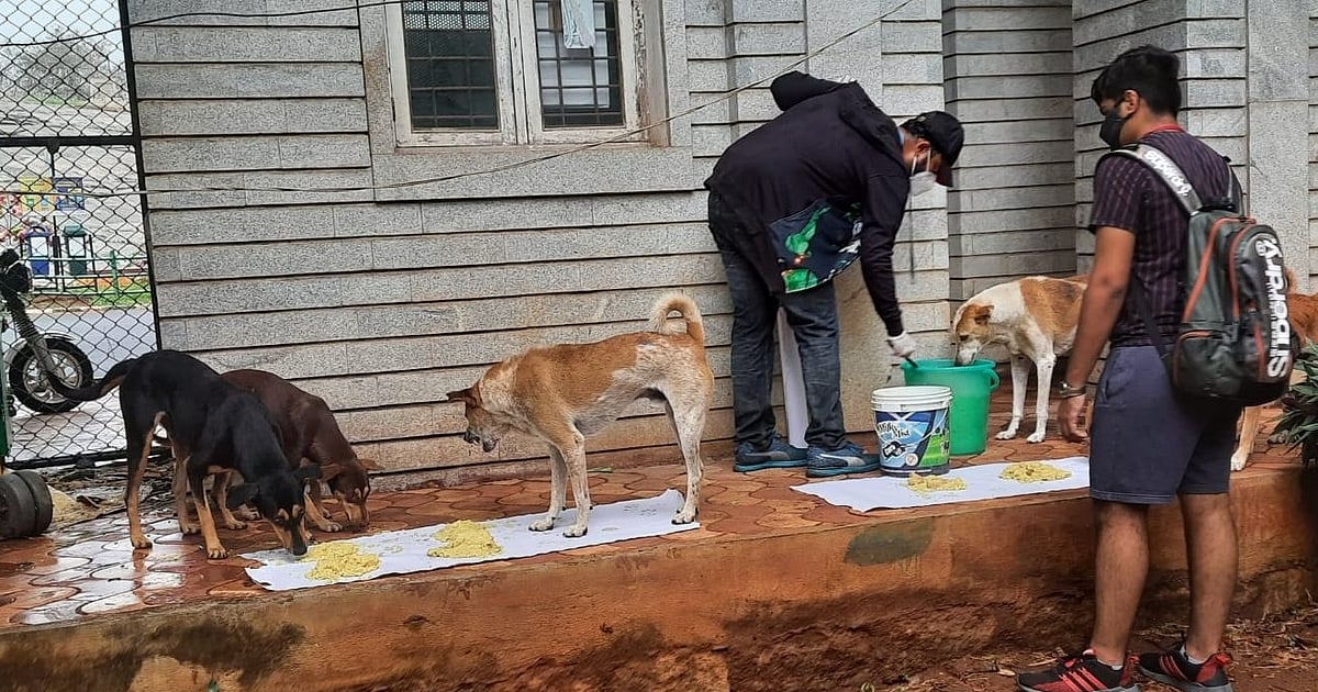 News 8 Nationwide campaign urges citizens to write to SC for animal welfare; over 10,000 letters sent