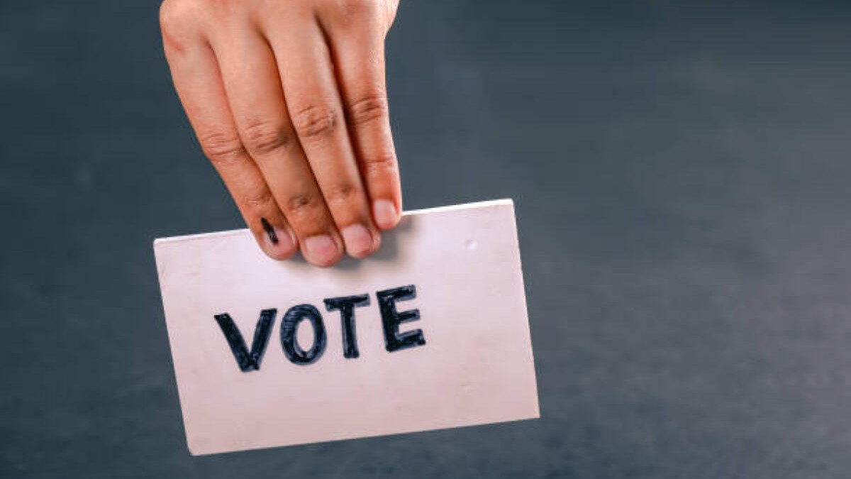 Bihar Assembly Polls: BLO's visit 1.5 crore households as part of special electoral roll drive