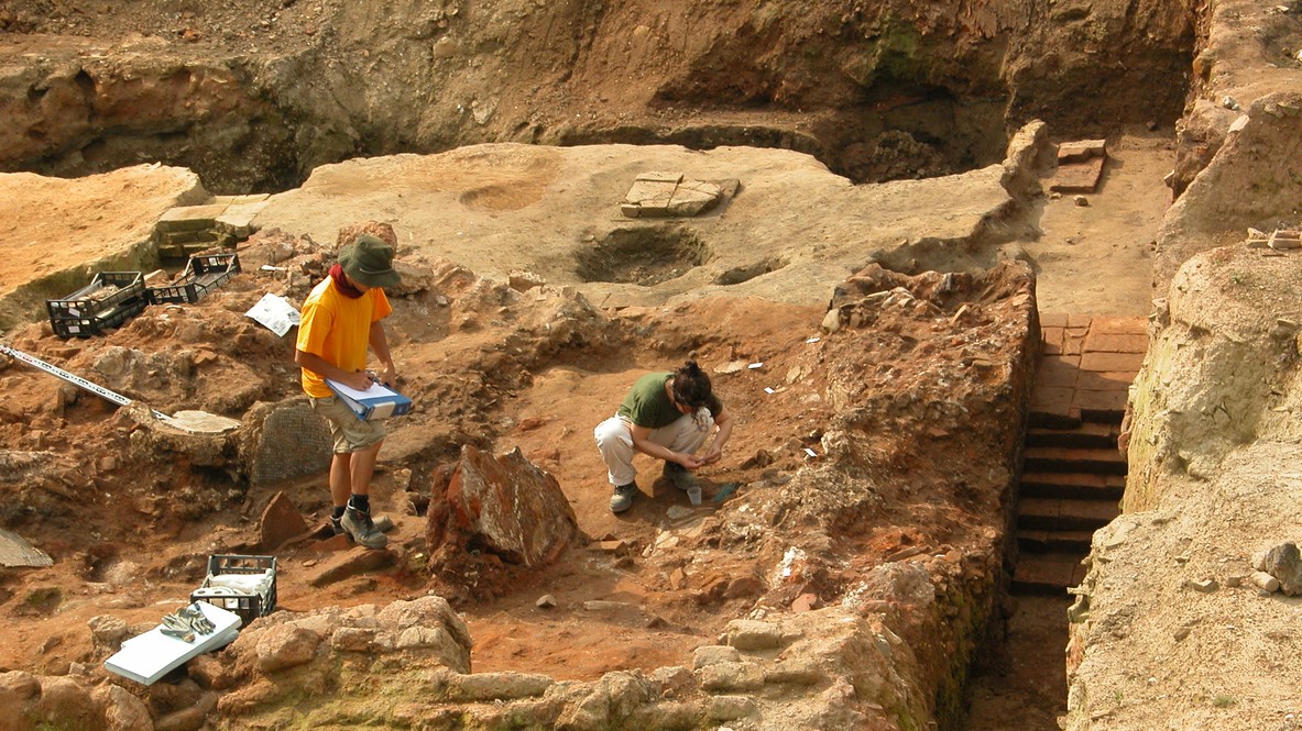 Rare wooden tools from Stone Age China reveal plant-based lifestyle of ancient lakeside humans