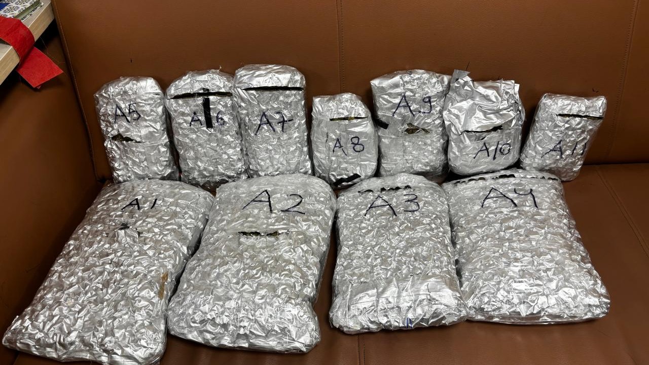 Mumbai customs seize hydroponic weed, animals and gold worth over Rs 11 crore