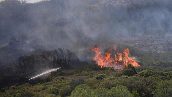 Fire near Marseille has burned 700 hectares, damaged 10 buildings, official says