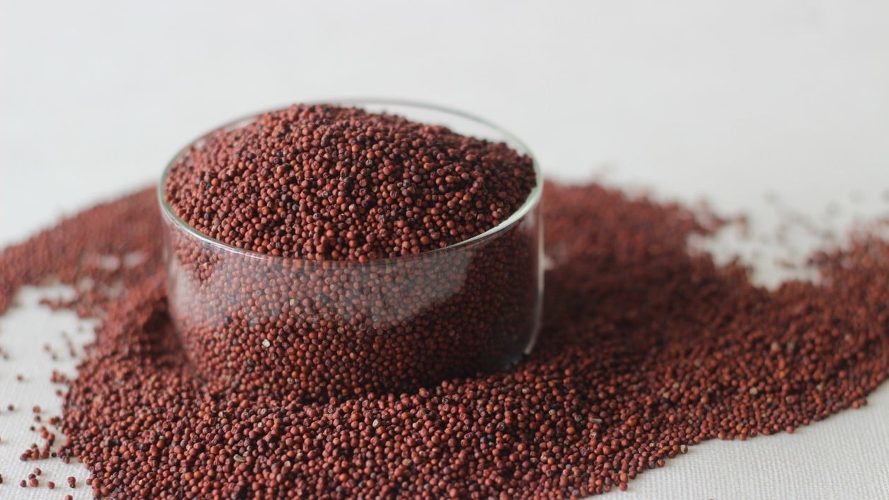 Resilient ragi's acerage surges on good returns, stable markets
