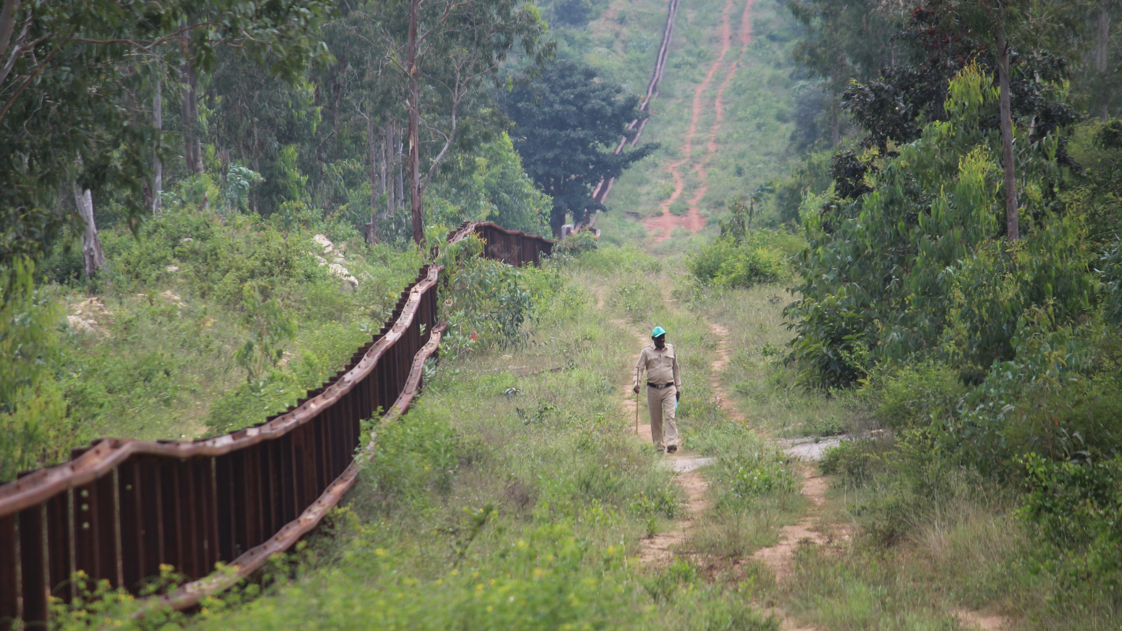 50% of frontline staff posts lying vacant in Karnataka Forest Department