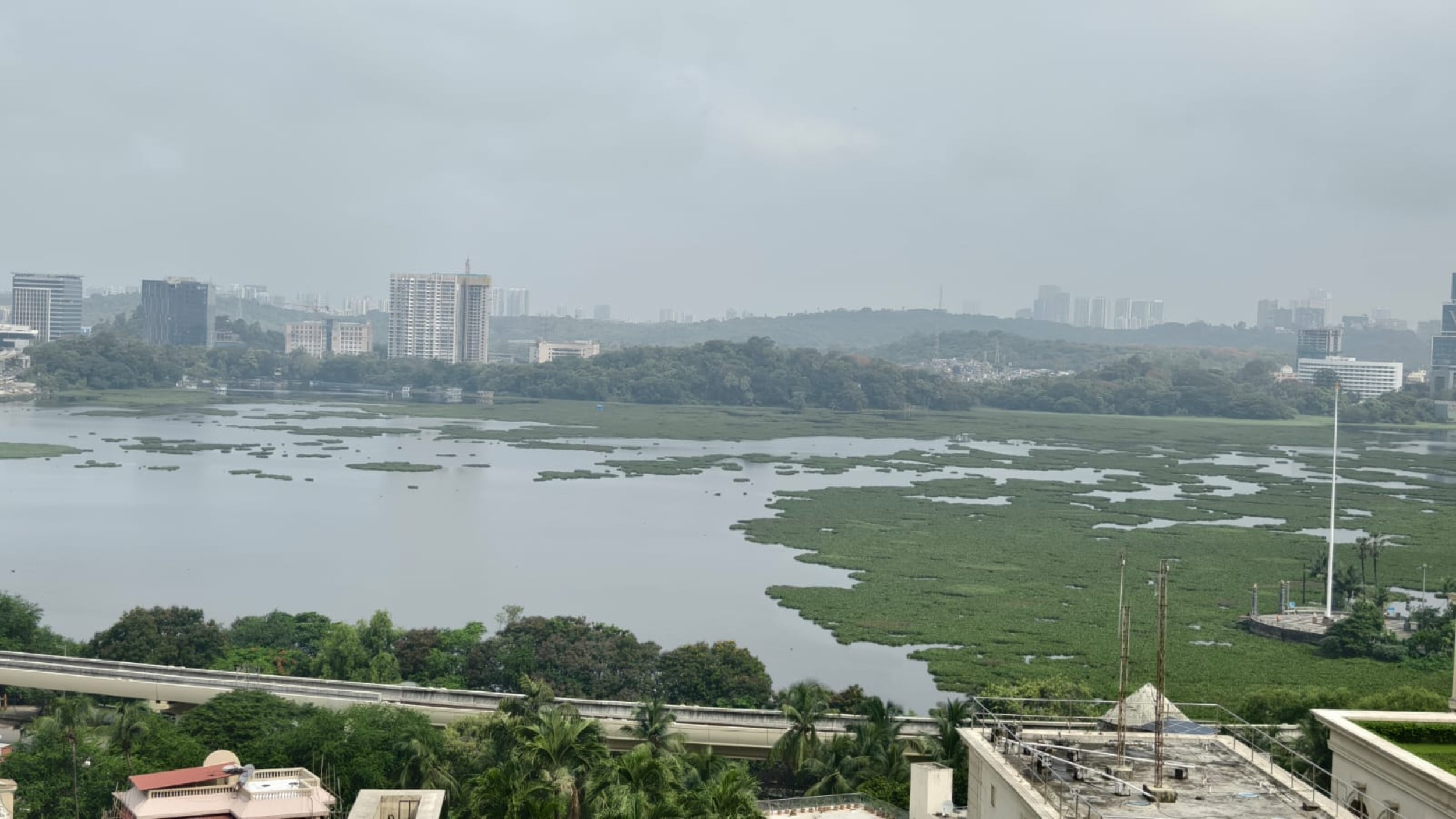 BMC rolls out Rs 71 crore Powai Lake clean-up plan