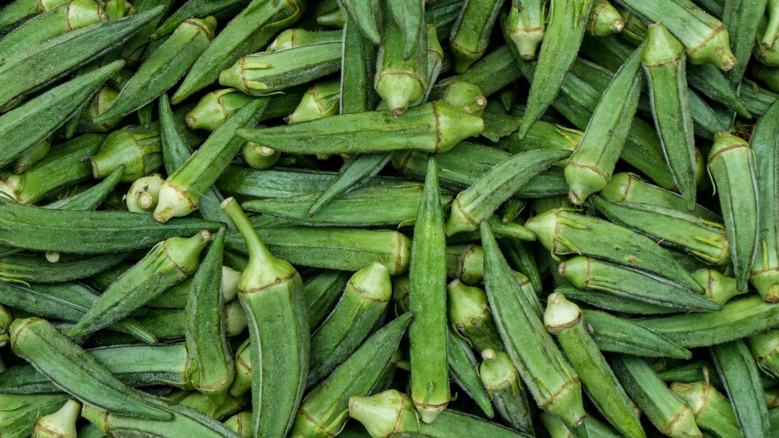 Okra-hating teen flees Nagpur home after mother prepares dish with it; brought back from Delhi