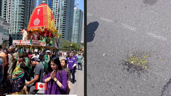 India protests after Rath Yatra in Toronto disrupted by 'mischievous elements', eggs thrown at  devotees