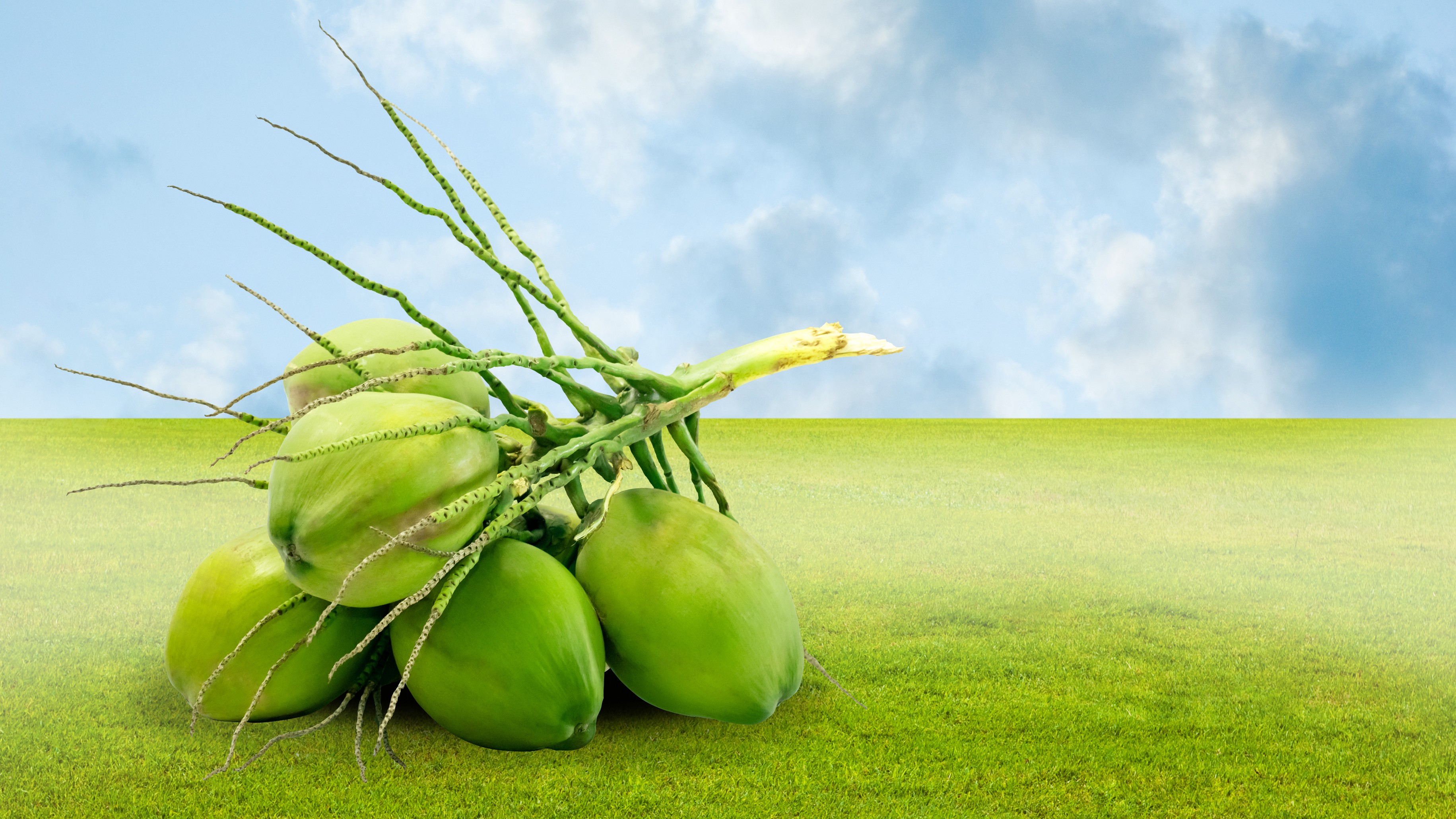 Amidst soaring prices, a village in Kerala sees spike in coconut theft 