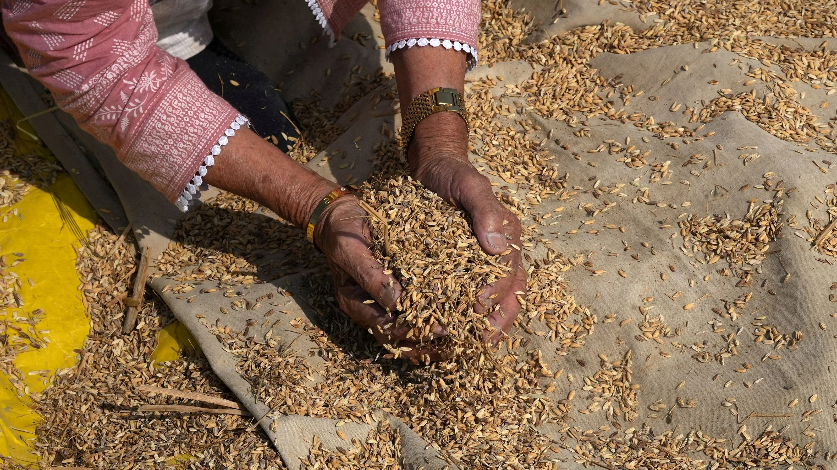 Cabinet clears PM Dhan-Dhaanya Krishi Yojana with annual outlay of Rs 24,000 crore