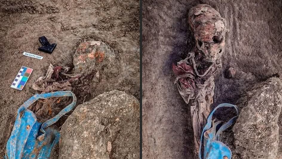 Remains of girl child among 65 skeletons unearthed at Sri Lanka's Chemmani mass grave