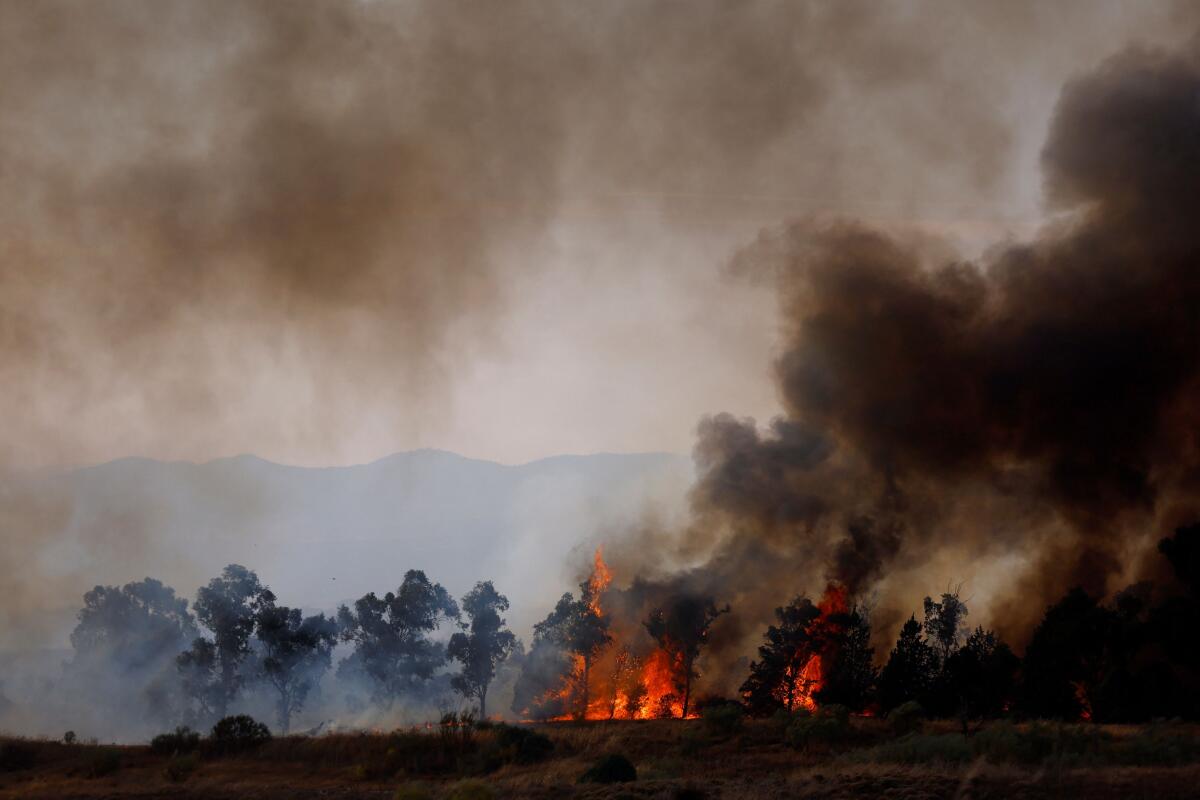 A wildfire burns on the outskirts of Valmojado, Spain.
