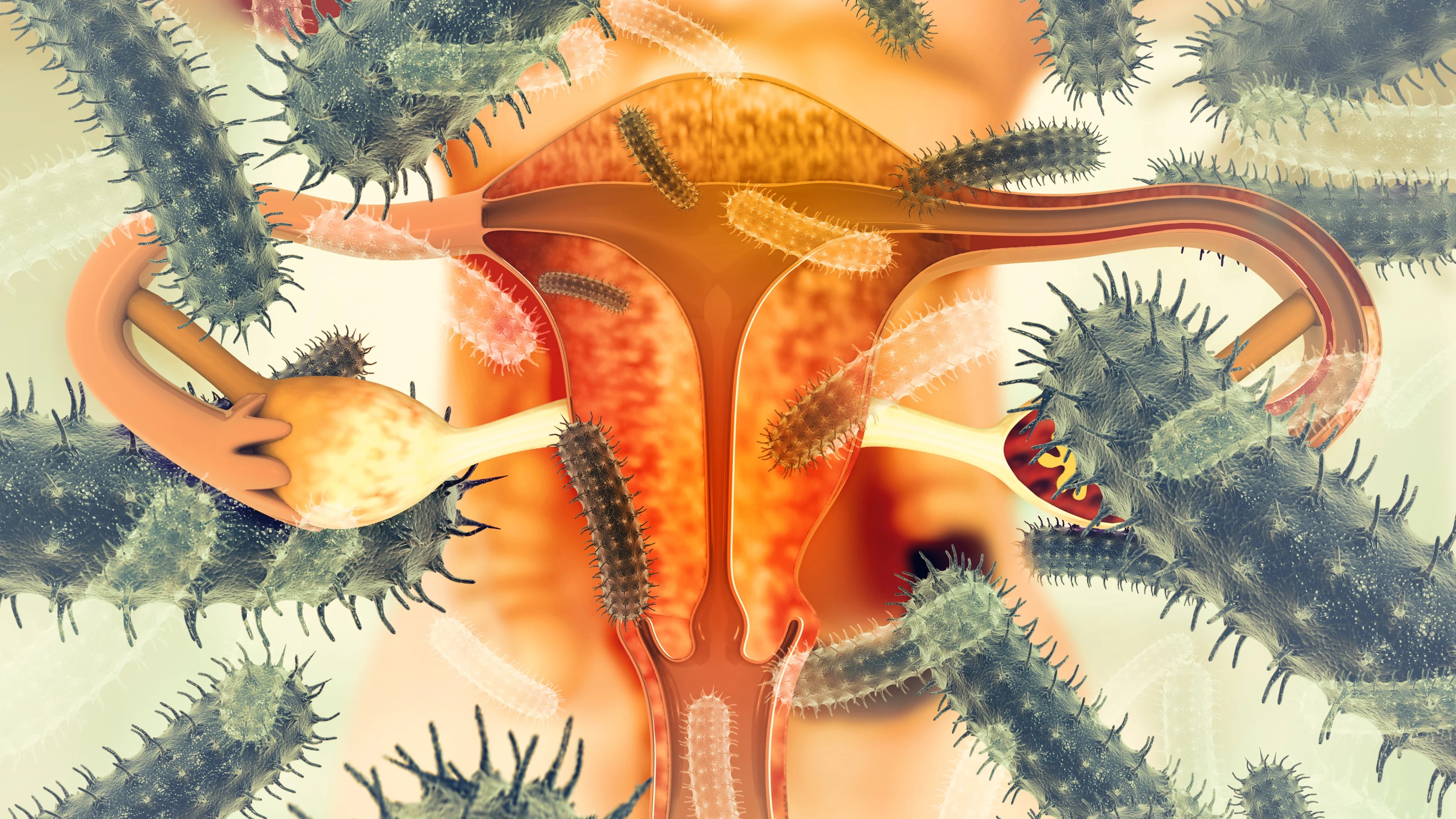 Ovarian cancer: Watch the growth of these cells