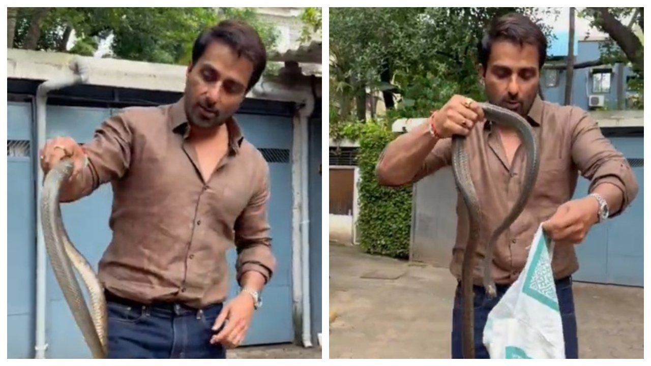Watch: Sonu Sood catches snake with bare hands