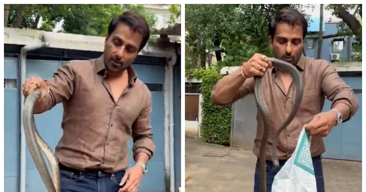 Watch: Sonu Sood catches snake with bare hands