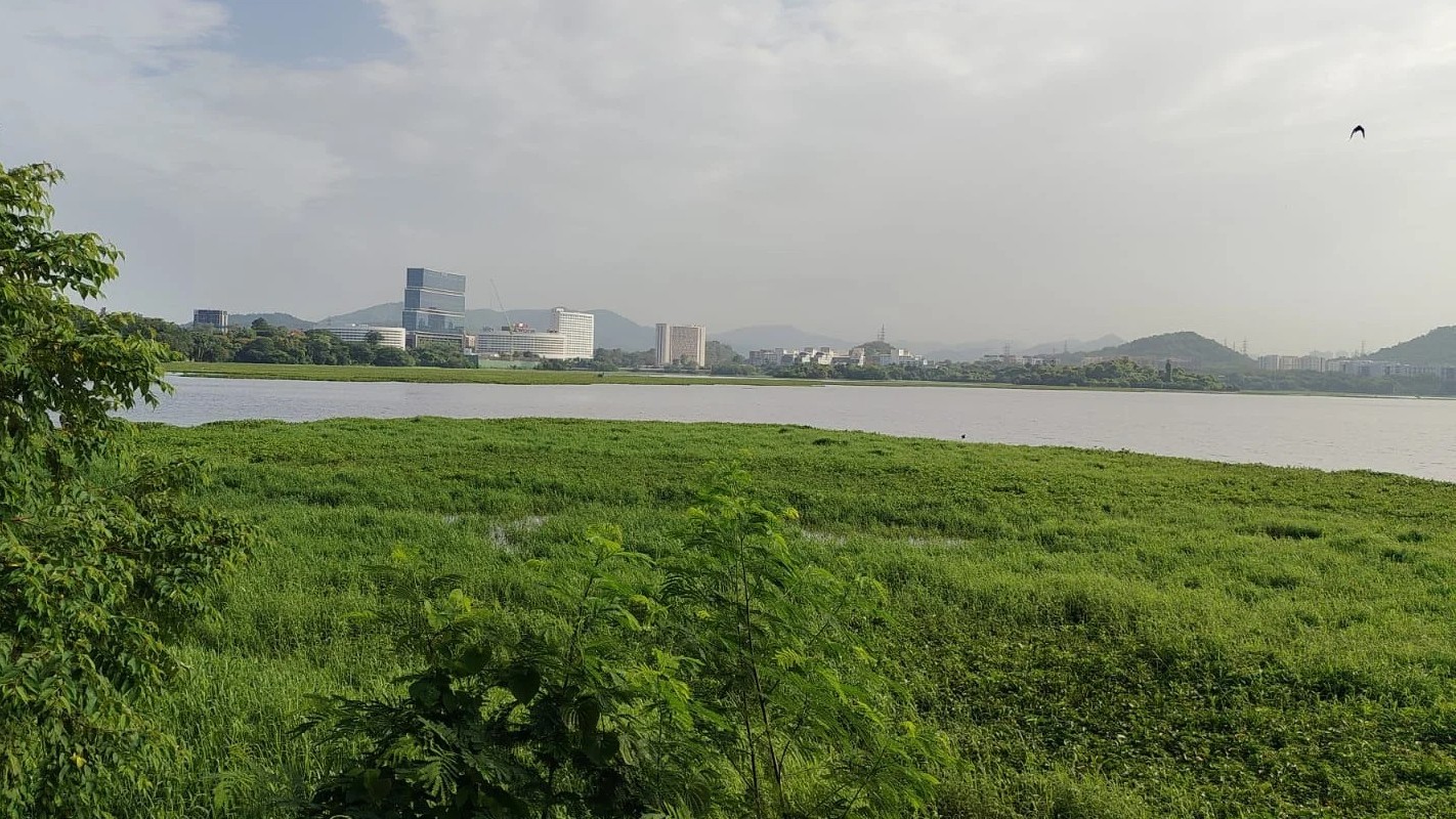 Powai Lake neglect: NGT orders joint inspection, serves notices to state govt, BMC, SWA