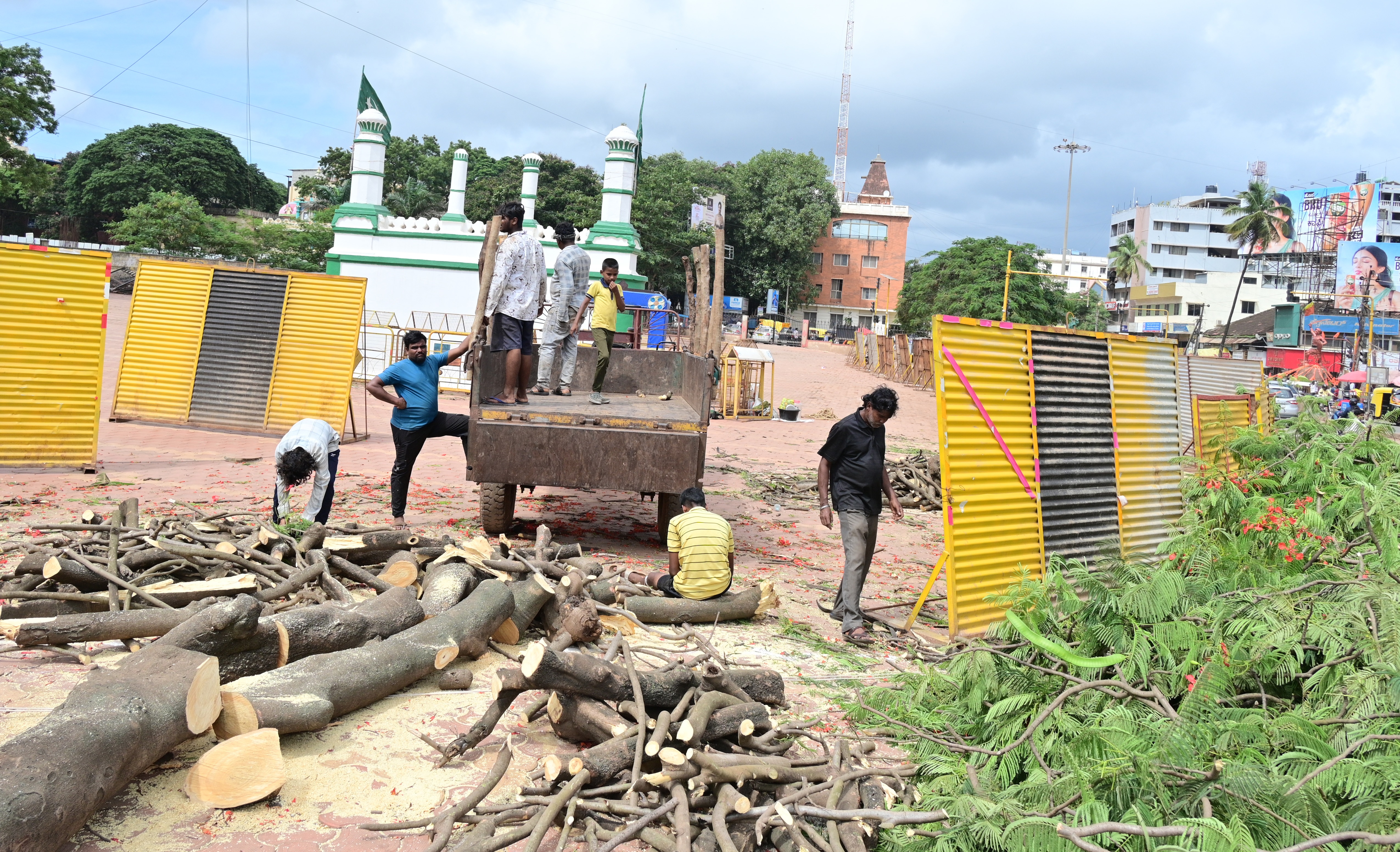 Flyover project to diminish Hubballi's green cover as 99 trees face axe