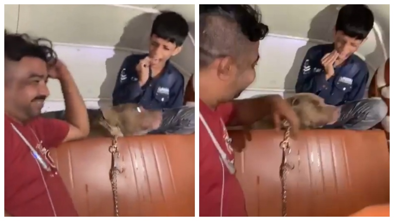 Man laughs as his pit bull attacks kid in Mumbai