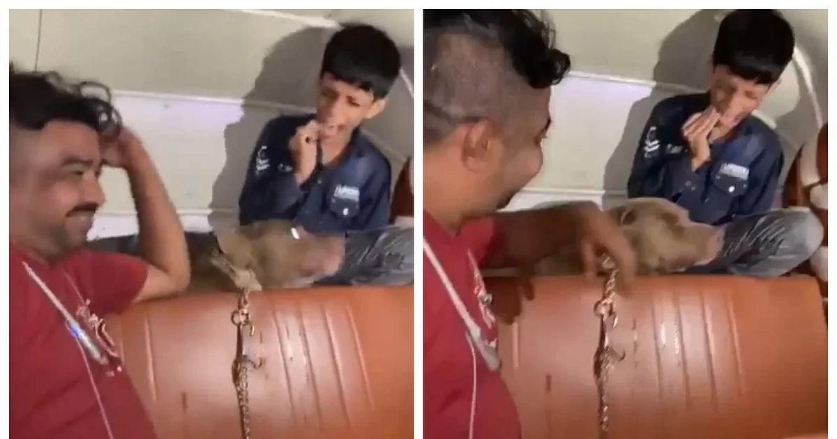 Man laughs as his pit bull attacks kid in Mumbai