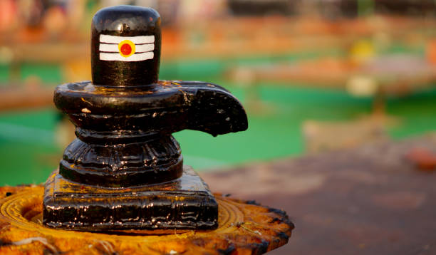 'Panchmukhi shivling' unearthed during excavation in UP's Budaun; people throng site