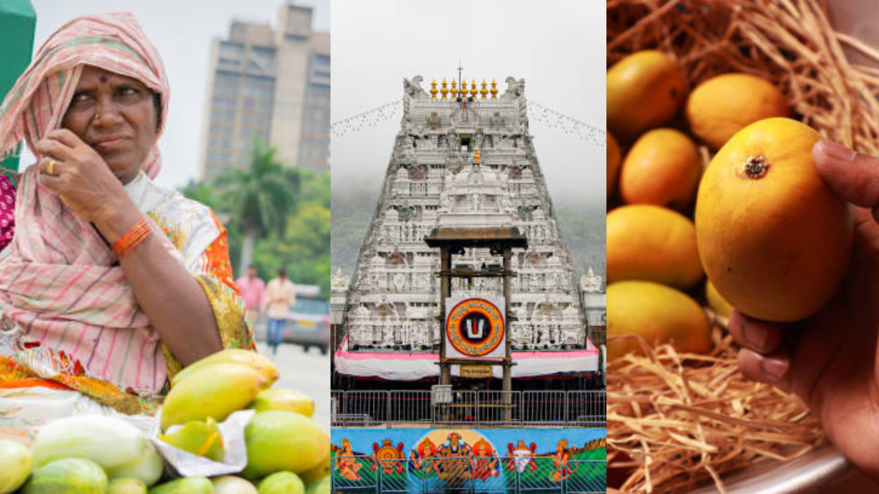 Andhra farmers urge TTD to procure mangoes amid severe financial distress