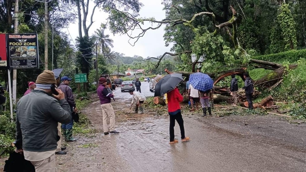 Many trees uprooted in Kodagu after heavy rains lash the region 