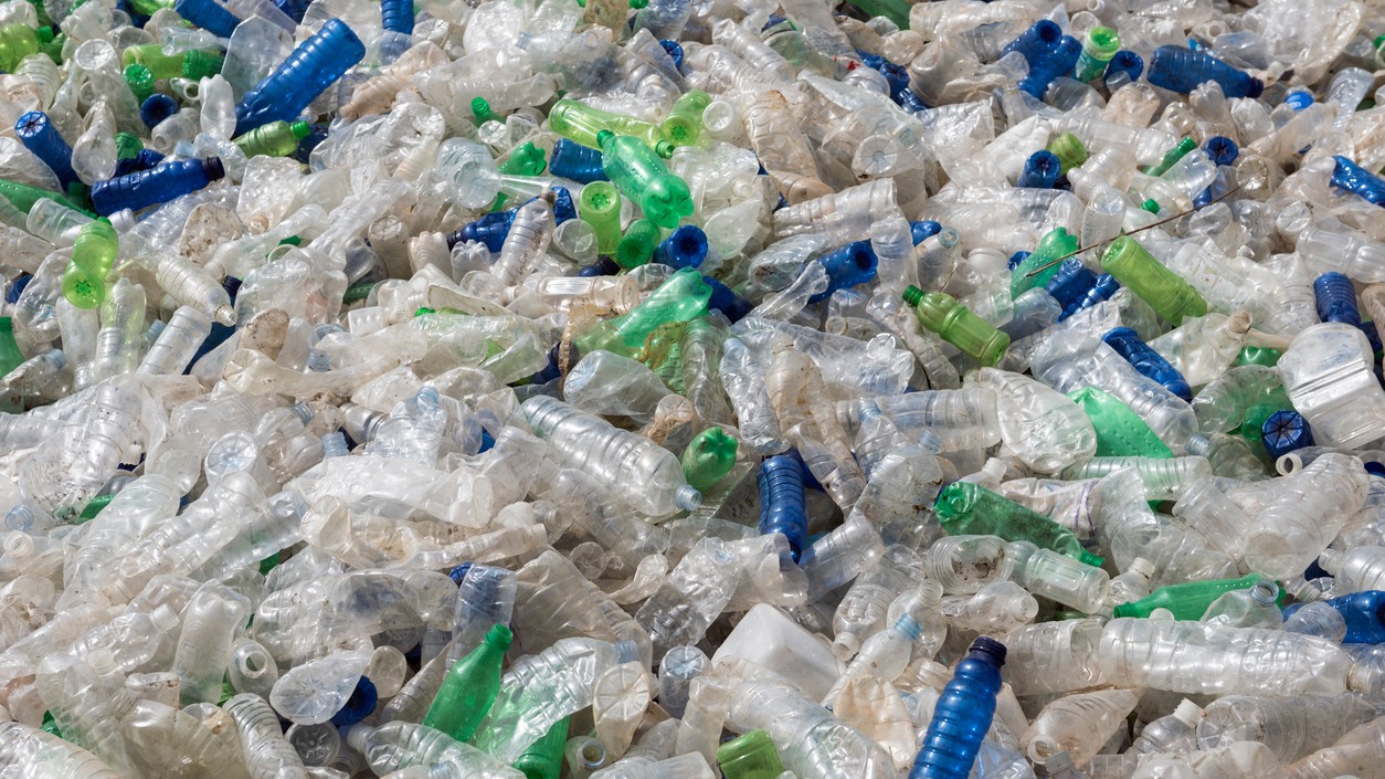 Combating plastic trash: Bisleri partners with Tadoba tiger reserve to tackle the issue